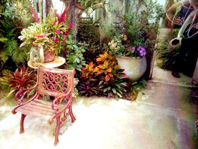 still-life-chair