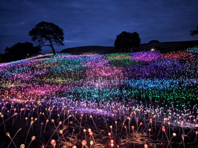Sensorio light art at Paso Robles